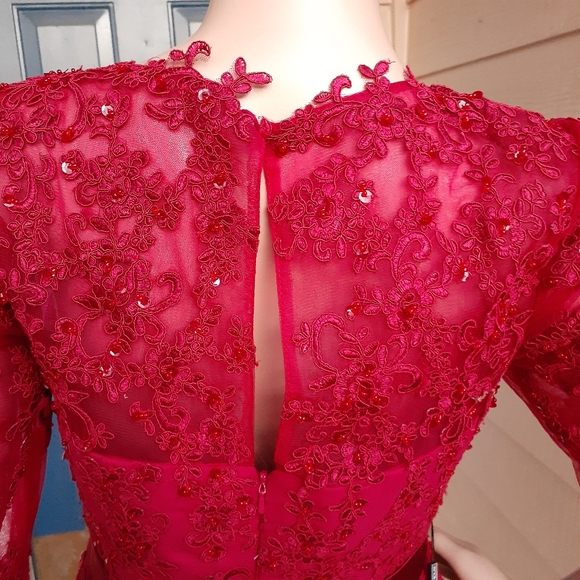 JJ'S House burgandy evening dress - Picture 6 of 6